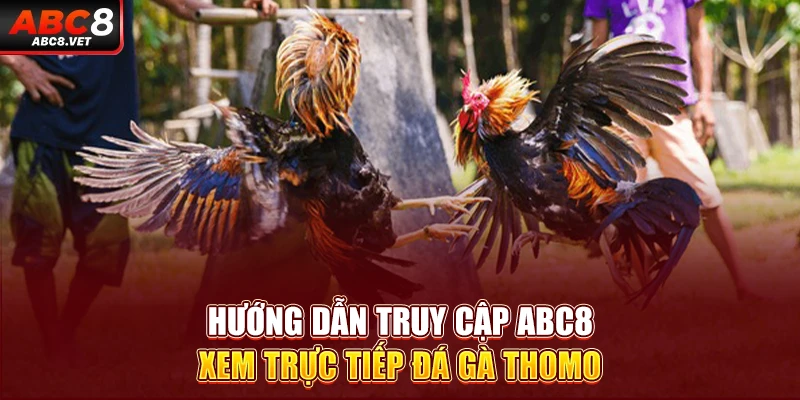 Hướng dẫn truy cập ABC8 xem trực tiếp đá gà Thomo