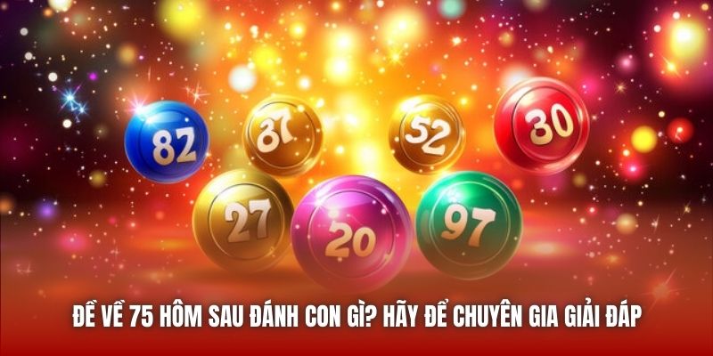 Đề Về 75 Hôm Sau Đánh Con Gì? Hãy Để Chuyên Gia Giải Đáp
