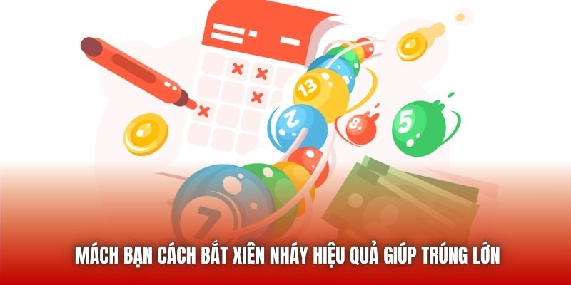 Mách bạn cách bắt xiên nháy hiệu quả giúp trúng lớn