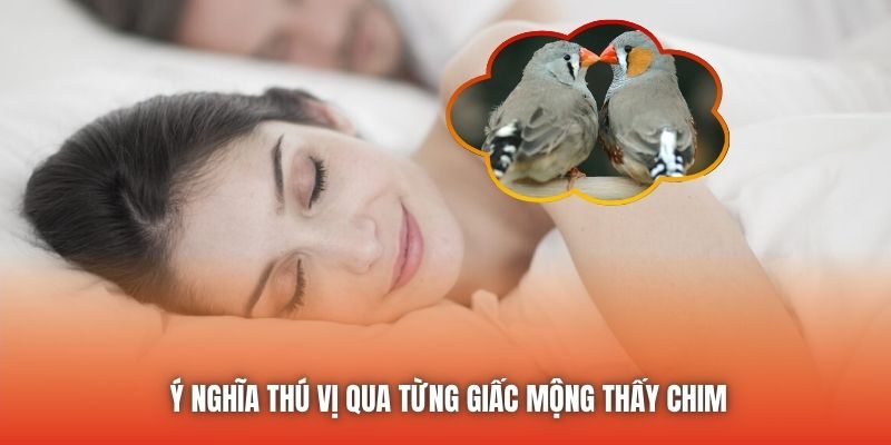 Ý nghĩa thú vị qua từng giấc mộng thấy chim