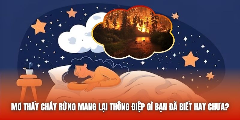 Mơ thấy cháy rừng mang lại thông điệp gì bạn đã biết hay chưa?