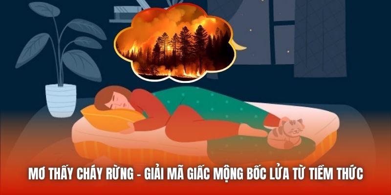 Mơ Thấy Cháy Rừng - Giải Mã Giấc Mộng Bốc Lửa Từ Tiềm Thức