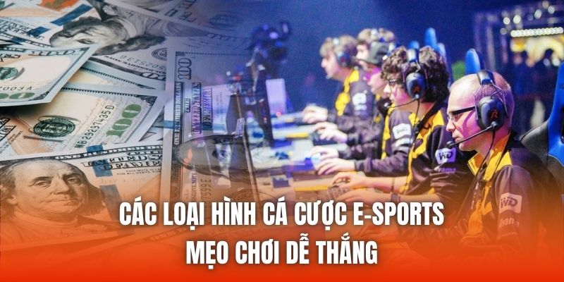 Các Loại Hình Cá Cược E-Sports - Mẹo Chơi Dễ Thắng