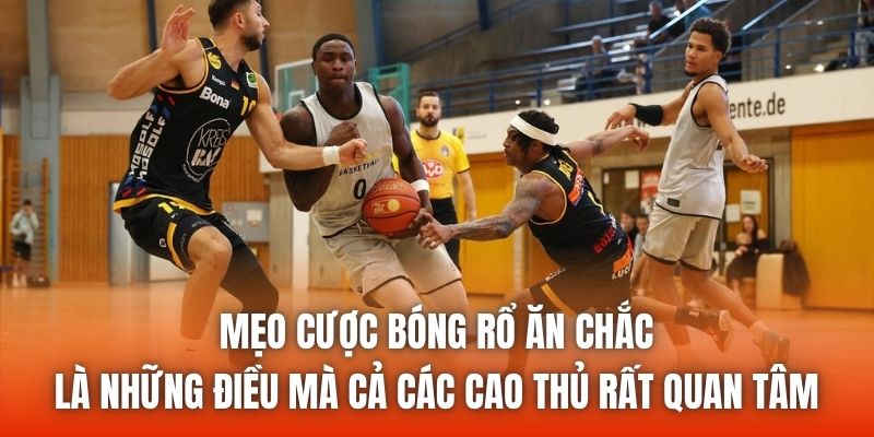 Mẹo cược bóng rổ ăn chắc là những điều mà cả các cao thủ rất quan tâm