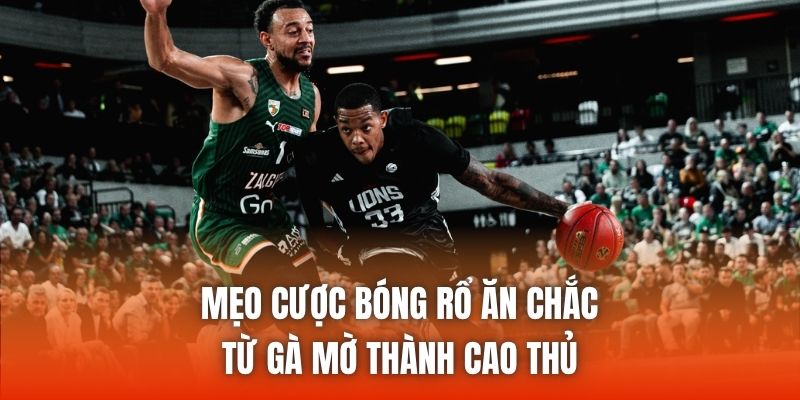 Mẹo Cược Bóng Rổ Ăn Chắc - Từ Gà Mờ Thành Cao Thủ